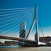 Erasmusbrug ook wel de zwaan genoemd  van Robbert Wilbrink