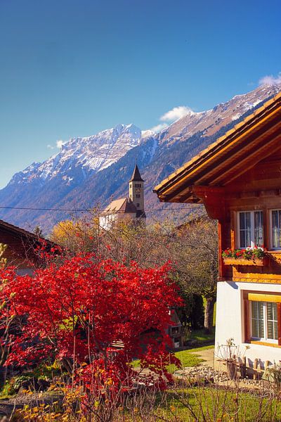 Paysage suisse. par Josmar Colmenares