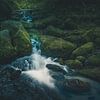 Black Forest II by rosstek ®
