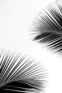 Abstrakte Palmenblätter II
