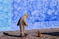 Ein Mann spricht mit einer Katze