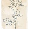 Subtle Beauty | Line Art Painting of a Rose by MadameRuiz