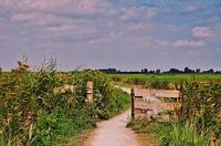 nostalgic path in the countryside
