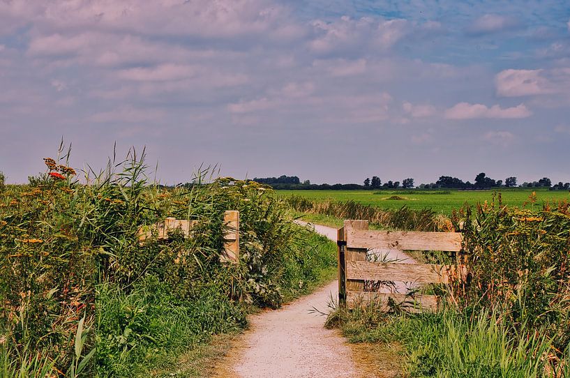 nostalgic path in the countryside by Miny'S