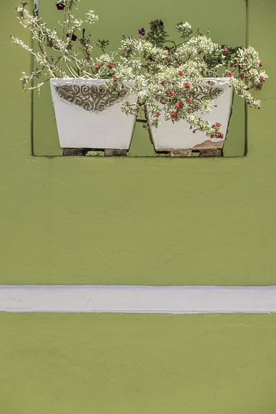 Jardin mural par Shot by Clint
