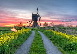 Mill by petra van oorschot