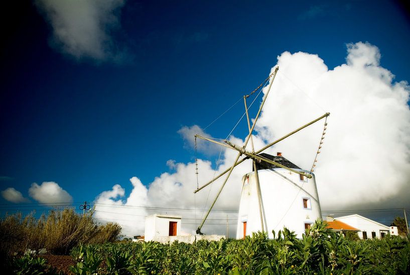 Portugiesisch &#039;Molinho&#039; um Peniche, Portugal von Marcel Admiraal