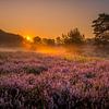 Brunssummerheide Sunrise van Maurice Meerten