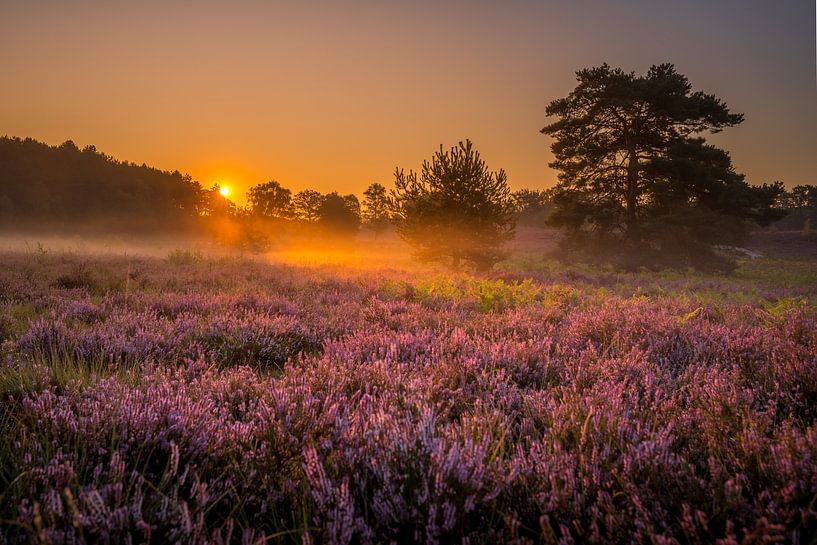 Lever de soleil à Brunssummerheide par Maurice Meerten