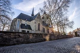 The church of Sint-Pieters-Leeuw by Wim Brauns