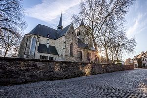 De kerk van Sint-Pieters-Leeuw van Wim Brauns