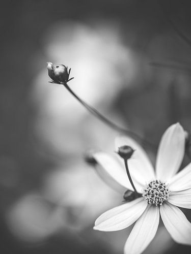 Un moment de tendresse