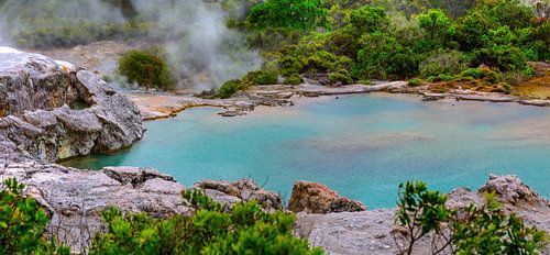 Parc thermal de Te Puia