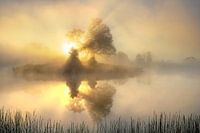 Licht