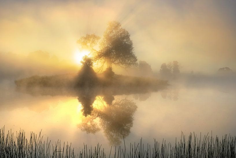 Licht van keller 