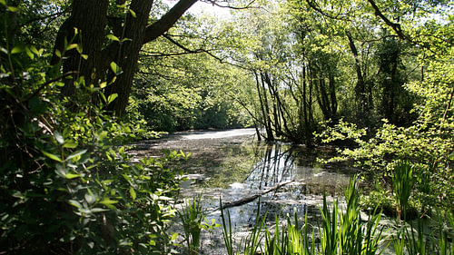 Natuur