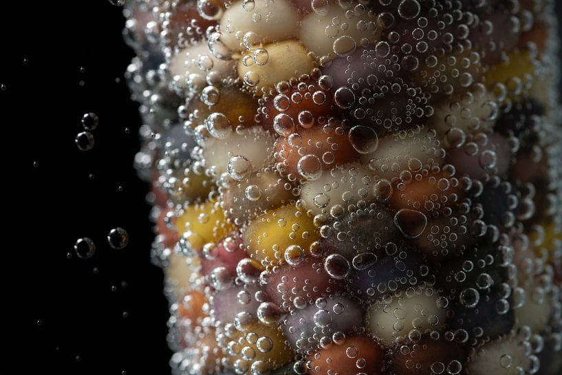 Corn on the cob in sparkling water by Ulrike Leone