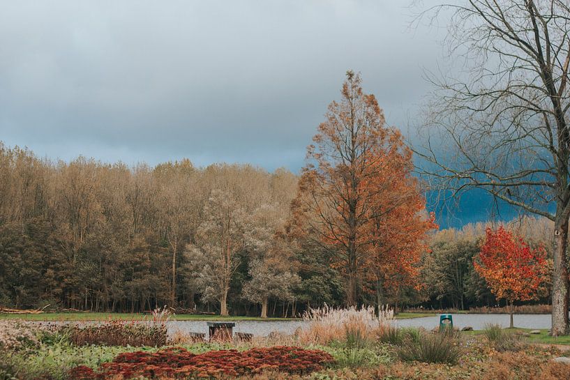 BERGSE BOS  by Maria elican