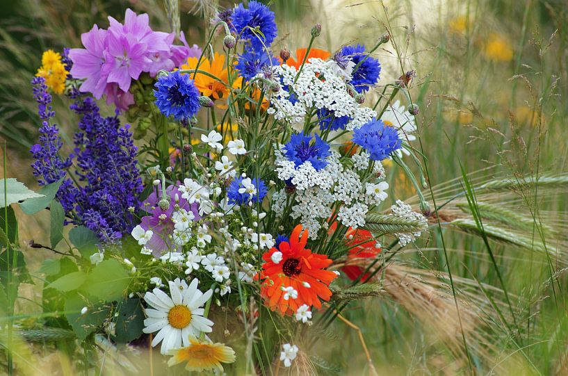 Wilde bloemen in een zomer weide van Tanja Riedel