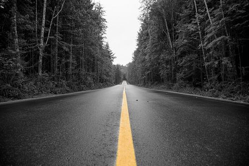 Black and white image of a deserted road through the woods, with yellow centre line
