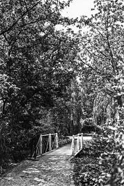 Die kleine weiße Brücke. von Pieter van Roijen