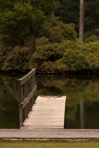 Steiger in het water