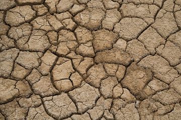 Very dry cracked earth. by Gert van Santen