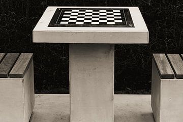 Monochrome portrait of a chess bench by Jan Van Bizar