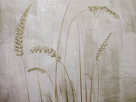 Attractive ornamental grass in soothing, soft natural shades