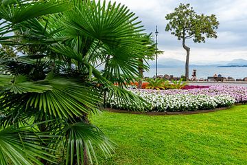 Park in Desenzano del Garda, Italien sur Animaflora PicsStock