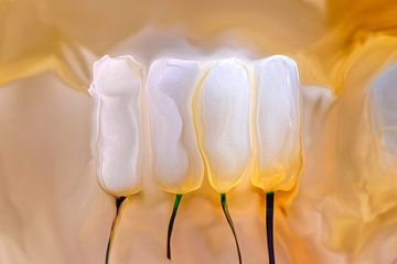 Zauberhafte weiße Tulpen auf einem Bett aus Gold von Jenco van Zalk