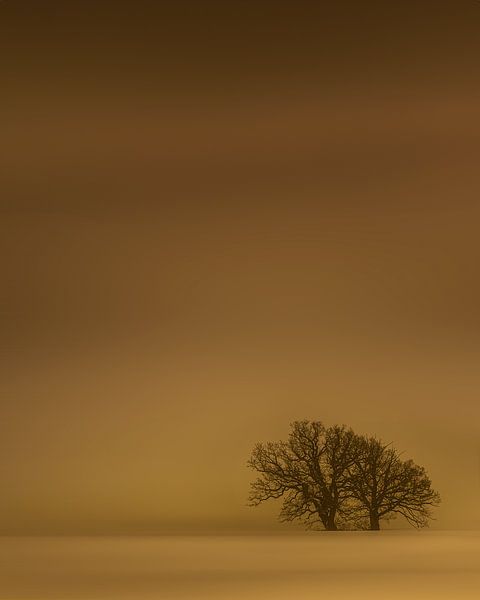 Golden winterday. by Jonas Röjestål