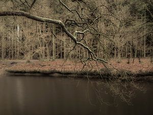 Walking around the Bush. Impressionisme van Alie Ekkelenkamp