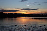Sunset III van Marco van de Pol thumbnail