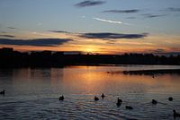Sunset III