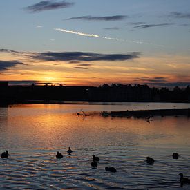 Sonnenuntergang III von Marco van de Pol