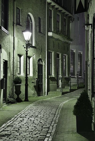 Steeg in Schiedam van Peet de Rouw