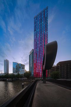 The Red Apple in Rotterdam