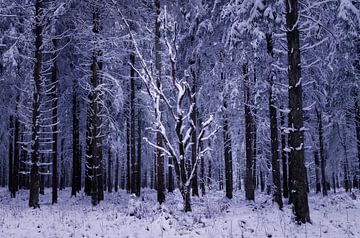 The Outsider von Falko Schulze Photography