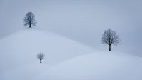 Snowy Drumlins in Switzerland