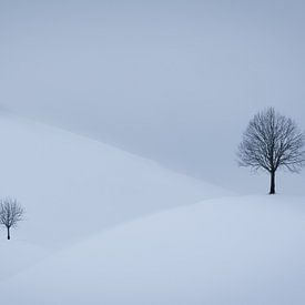 Schneebedeckte Drumlins in der Schweiz von Robin Giesen