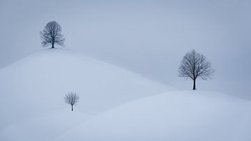 Schneebedeckte Drumlins in der Schweiz von Robin Giesen