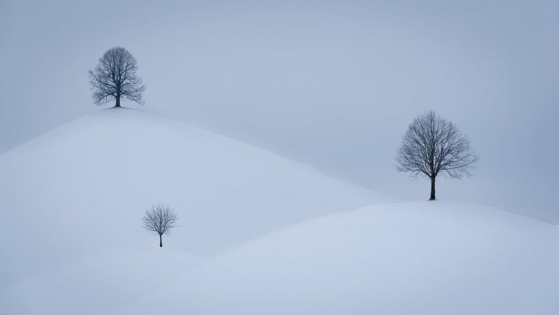 Snowy Drumlins in Switzerland by Robin Giesen