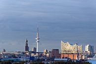 Skyline van Hamburg van Borg Enders thumbnail