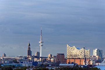 Hamburg Skyline von Borg Enders