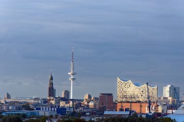 Skyline van Hamburg van Borg Enders