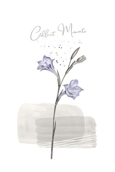 Collect Moments - Japandi Style von Melanie Viola