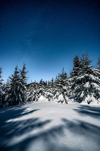 Sterrenhemel met maanlicht in een bos met winterlandschap
