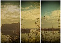 lauwersmeer triptych 3