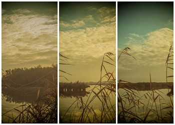 lauwersmeer triptych 3